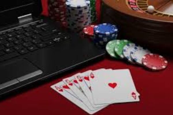 Wolf Winner Casino Australia Review and Search Bar UX Analysis