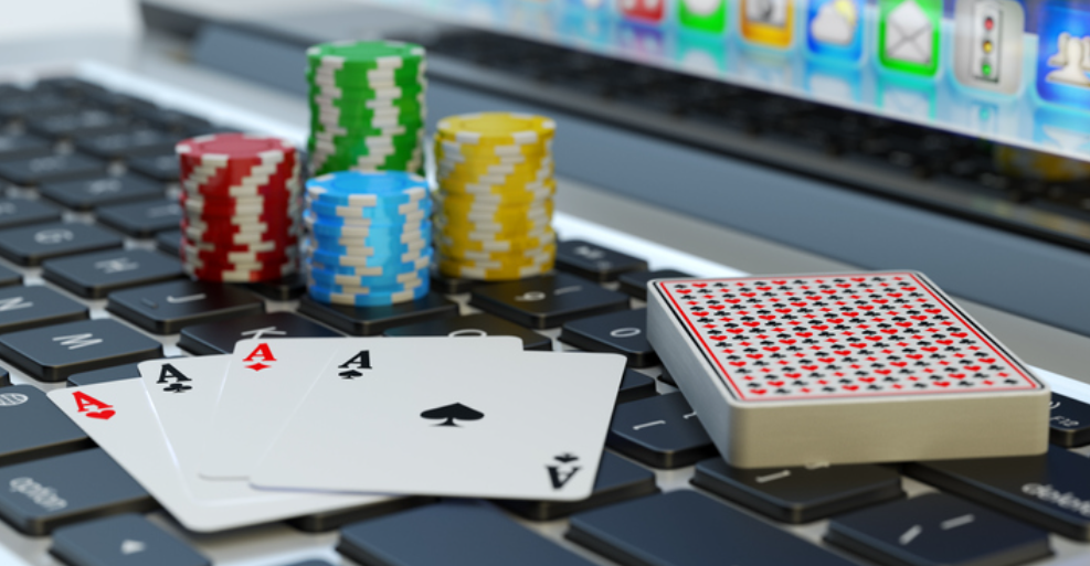 Wolf Winner Casino Australia Review and Search Bar UX Analysis